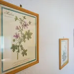 Prázdninový dům House Leo